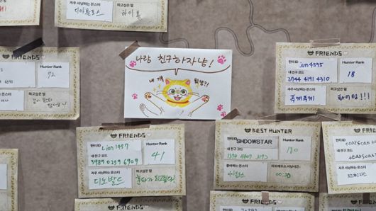 - 시선강탈하는 팔리코