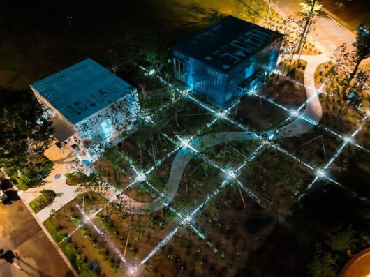 블록체인을 연상하게 하는 두나무의 ‘세컨포레스트 디지털 치유정원’ 야경 모습. 사진=두나무