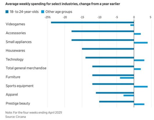 - 미국 18~24세의 소비 동향 보고서 (출처 : 서카나)