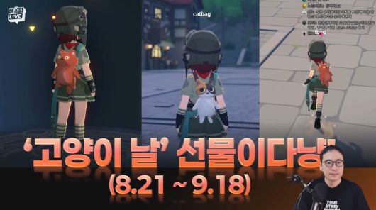 - 고양이 테마 이벤트 3종 세트