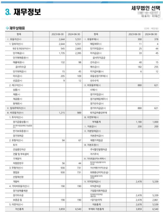 세무법인 선택 2024 회계연도 재무상태표. [사진=한국평가데이터]