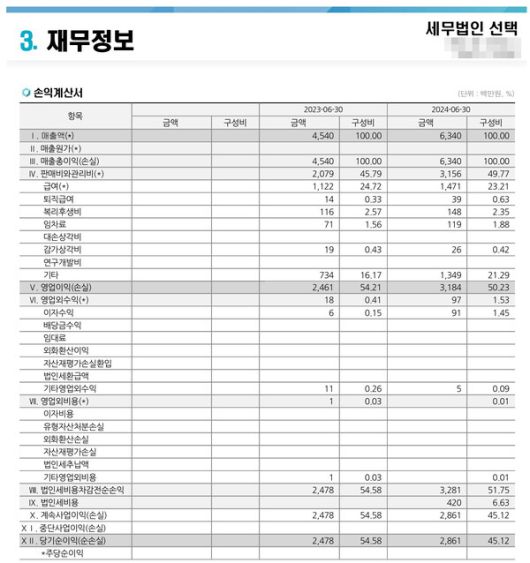 세무법인 선택 2024 회계연도 손익계산서. [사진=한국평가데이터]