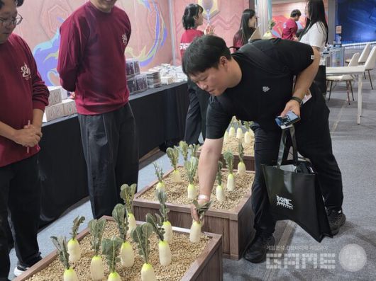 호요랜드 2025 무 뽑기 이벤트  /게임와이 촬영