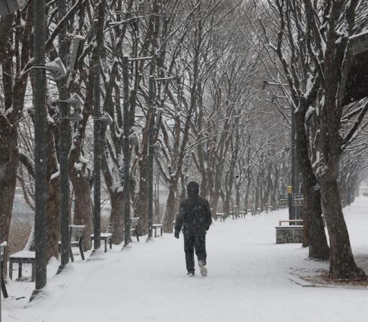 스포츠조선