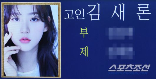 스포츠조선