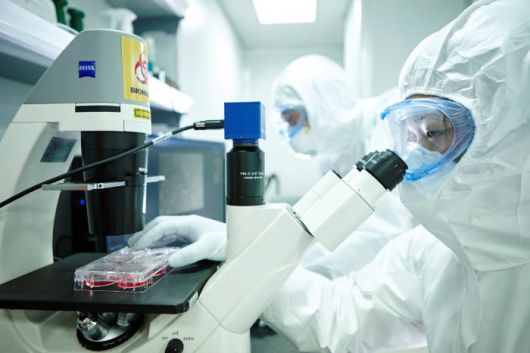 고려대학교 백신혁신센터 연구진이 백신 개발 연구를 진행하고 있다 .