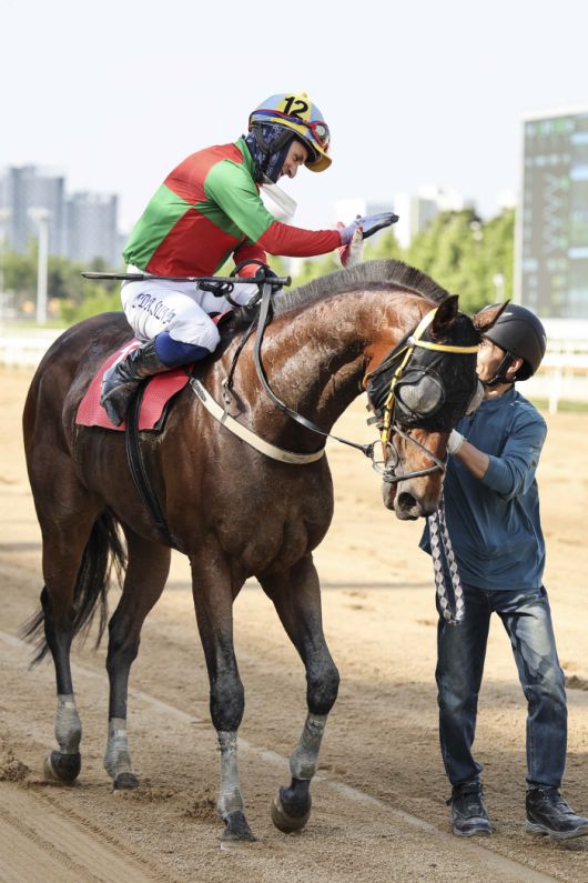 ◇쏜살. 사진제공=한국마사회