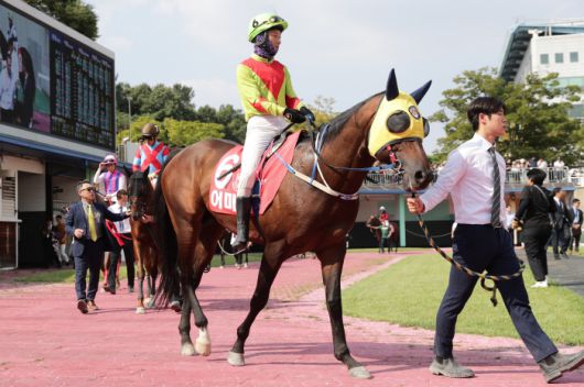 ◇어마어마. 사진제공=한국마사회