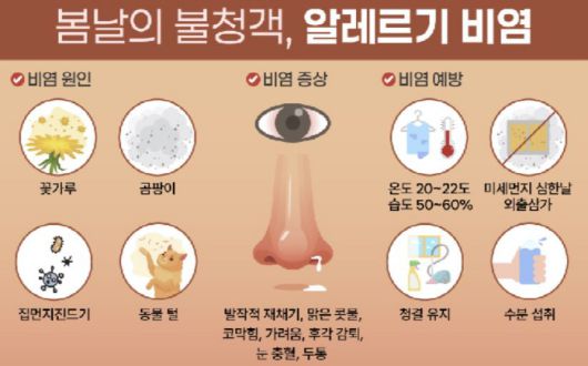 자료제공=에이치플러스 양지병원