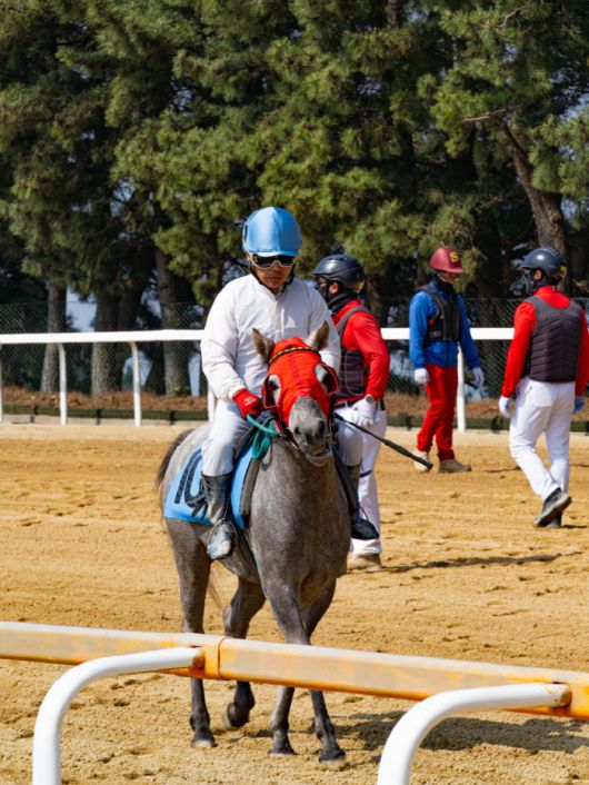 ◇사진제공=한국마사회
