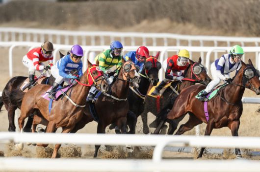 ◇사진제공=한국마사회