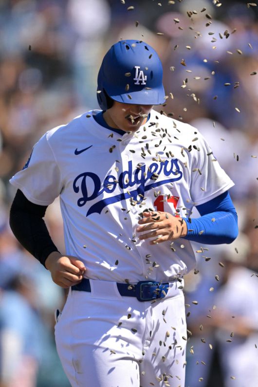 LOS ANGELES, CALIFORNIA - JUNE 22: Shohei Ohtani #17 of the Los Angeles Dodgers is showered with sunflower seeds after hitting a two-run home run in the eighth against the Washington Nationals at Dodger Stadium on June 22, 2025 in Los Angeles, California.   Jayne Kamin-Oncea/Getty Images/AFP (Photo by Jayne Kamin-Oncea / GETTY IMAGES NORTH AMERICA / Getty Images via AFP)        <저작권자(c) 연합뉴스, 무단 전재-재배포, AI 학습 및 활용 금지>