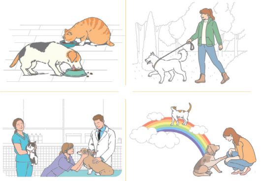 이미지=KB금융지주 경영연구소