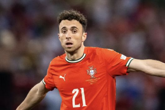 데일리스타 기사캡쳐