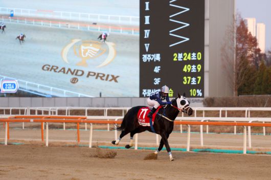 ◇사진제공=한국마사회
