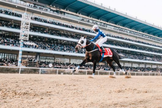◇사진제공=한국마사회