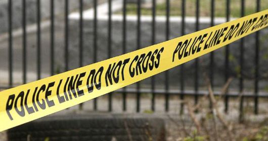 자료사진 출처=픽사베이