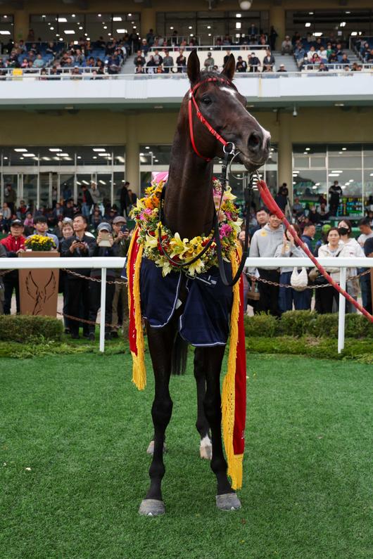 ◇스피드영. 사진제공=한국마사회