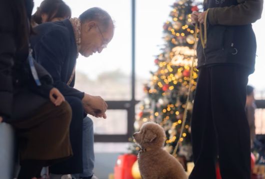 할아버지와 강아지가 눈을 맞추며 교감 중이다. [사진=뉴스1]