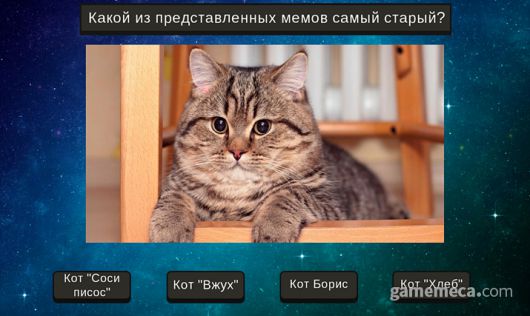 ▲ 페페인듯 페페 아닌 페페 (사진출처: 구글 플레이)