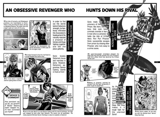 ▲ 마찬가지로 날쌘돌이 수리검 닌자인 음속의 소닉, 사실 이걸로 나왔어야 했다 (사진출처: onepunchman.fandom.com/wiki)