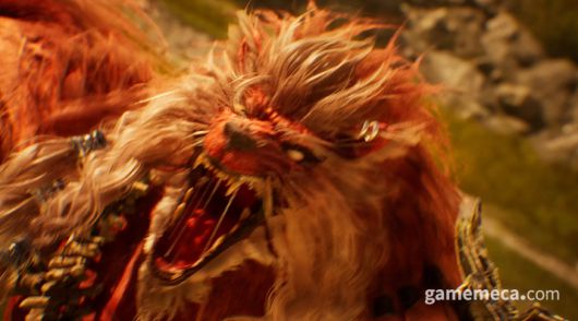 ▲ 놀 치프틴이 사망하며 남긴 의문의 돌의 정체가 이후에 밝혀질 것으로 보인다 (사진: 게임메카 촬영)