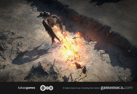 ▲ 와이번, 곰 등 동물로 변신해 전투하는 드루이드 (사진제공: 카카오게임즈)