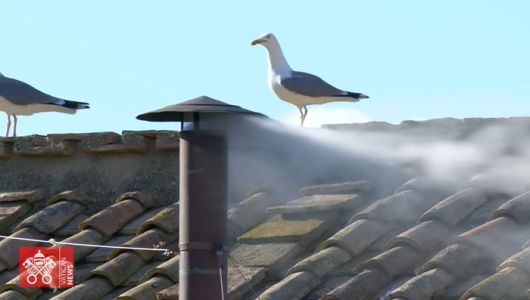 굴뚝에서 피어오르는 흰색 연기는 교황 선출이 완료됐다는 신호이다. [사진 = 바티칸 뉴스 유튜브]