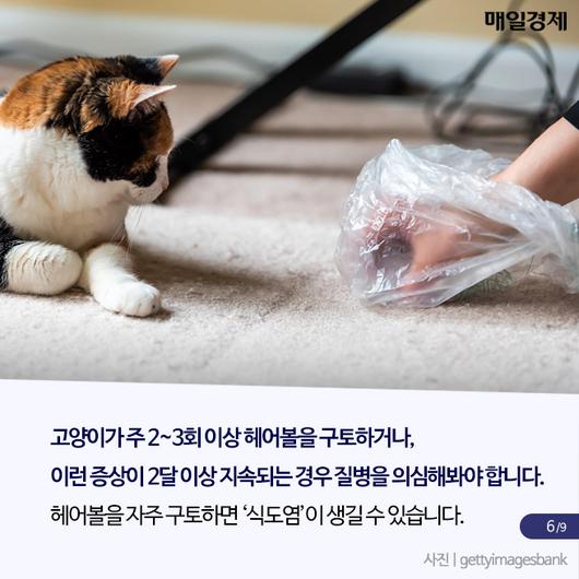 매일경제