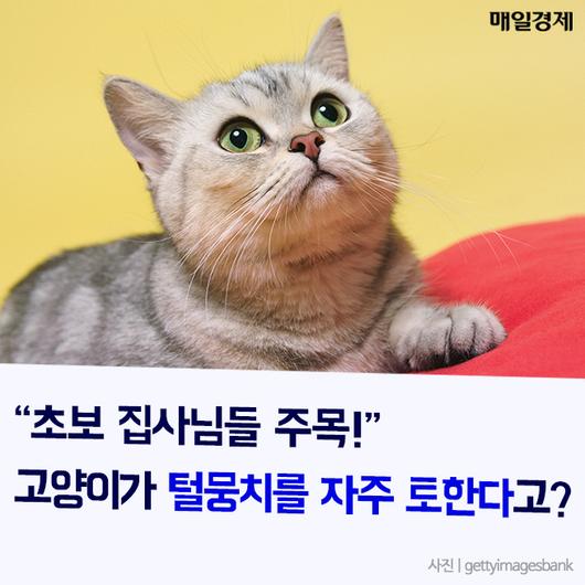 매일경제