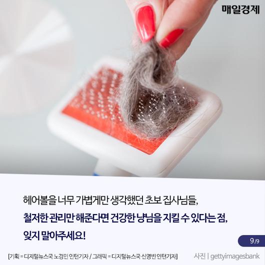 매일경제