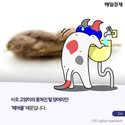 매일경제