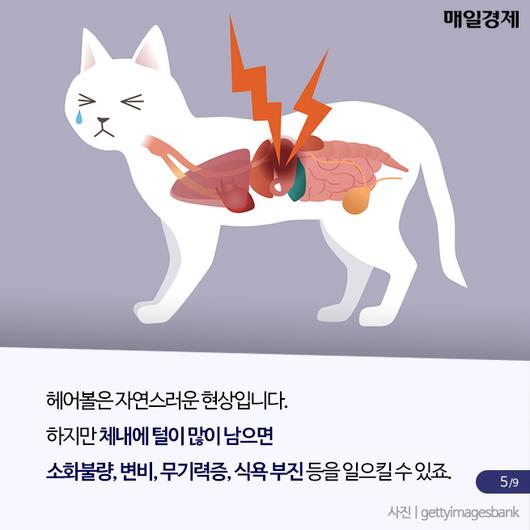 매일경제