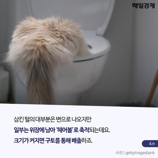 매일경제