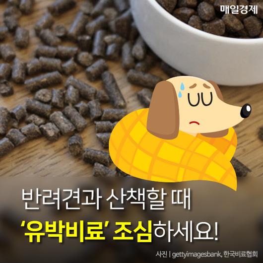 매일경제