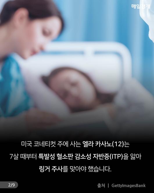 매일경제