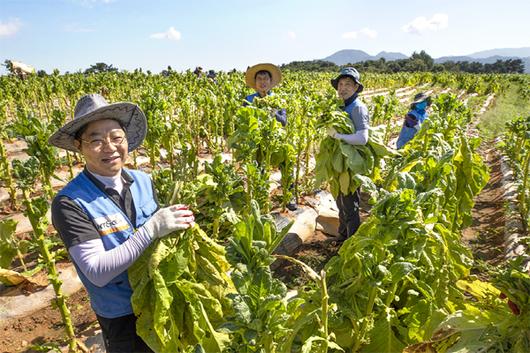 매일경제