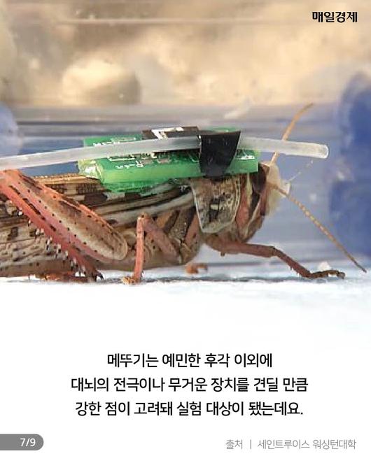 매일경제