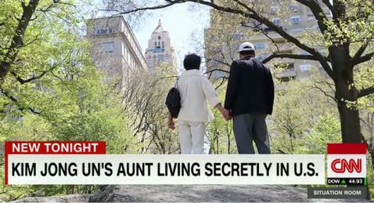 1998년 미국으로 망명한 고용희의 동생 고용숙 부부의 모습/사진=CNN방송 캡처