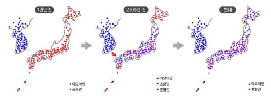 현대 일본인의 원형은 야요이 도래인(渡來人)과 죠몬이 섞인 혼혈이라는 게 정설이다.