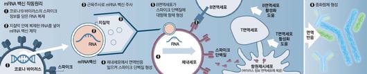 매일경제