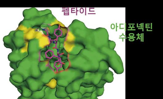 매일경제