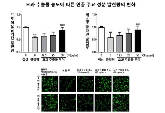 매일경제