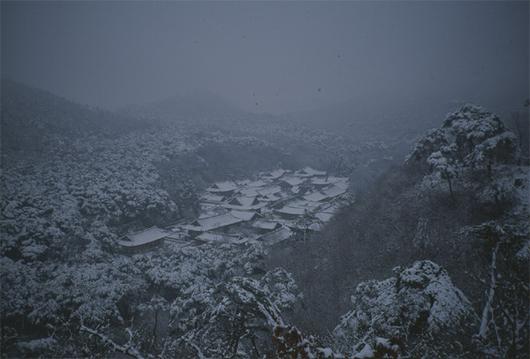 매일경제