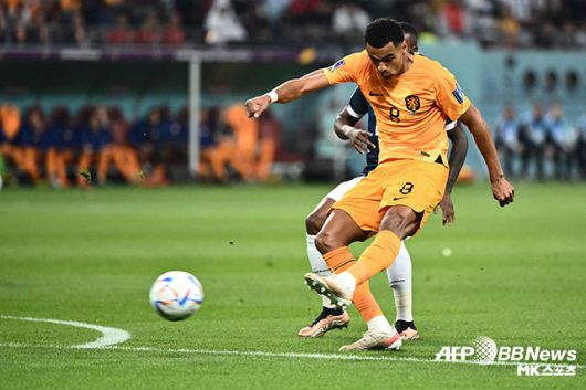 네덜란드와 에콰도르가 무승부를 거두고 A조 공동 선두에 올랐다. 사진=DOHA, QATAR ⓒAFPBBNews = News1