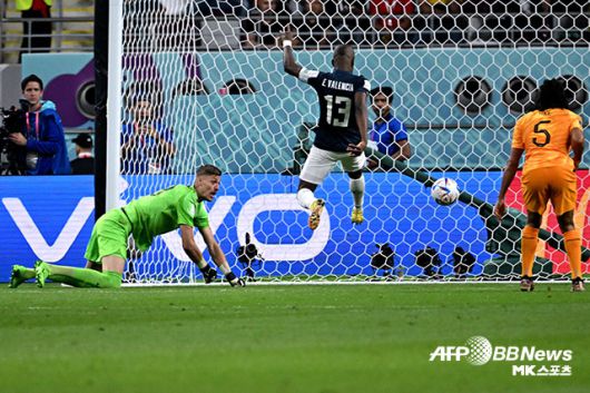 네덜란드와 에콰도르가 무승부를 거두고 A조 공동 선두에 올랐다. 사진=DOHA, QATAR ⓒAFPBBNews = News1