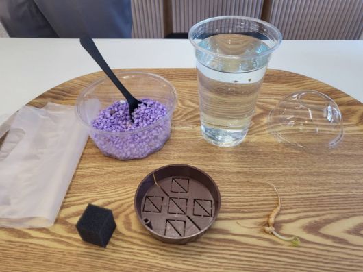 수경재배화분 만들기/사진=강찬미 여행+기자