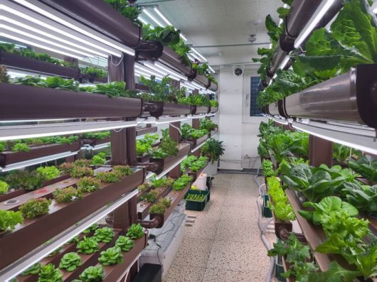스마트팜 시설 내부/사진=강찬미 여행+기자