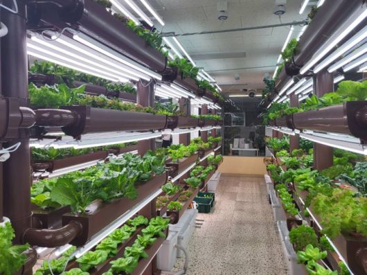 스마트팜 시설 내부/사진=강찬미 여행+기자