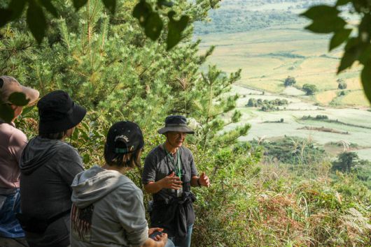 철없는펜션은 다랑쉬오름 해설투어를 진행한다 / 사진=제주관광공사
